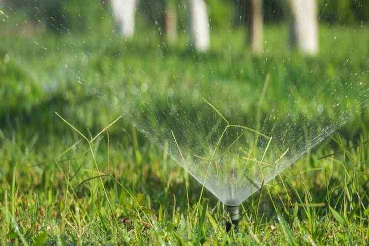 School of Water and Food Engineering